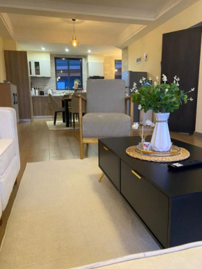 classic palace apartment with heated swimming pool fully equipped gym private parking,child play area and a relaxing rooftop with amazing city views